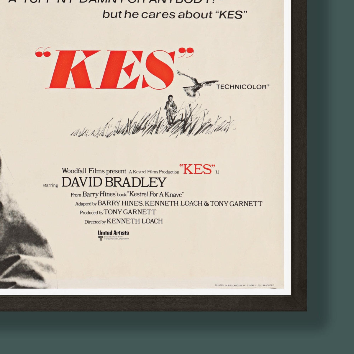 Kes - Film Poster - Framed Print